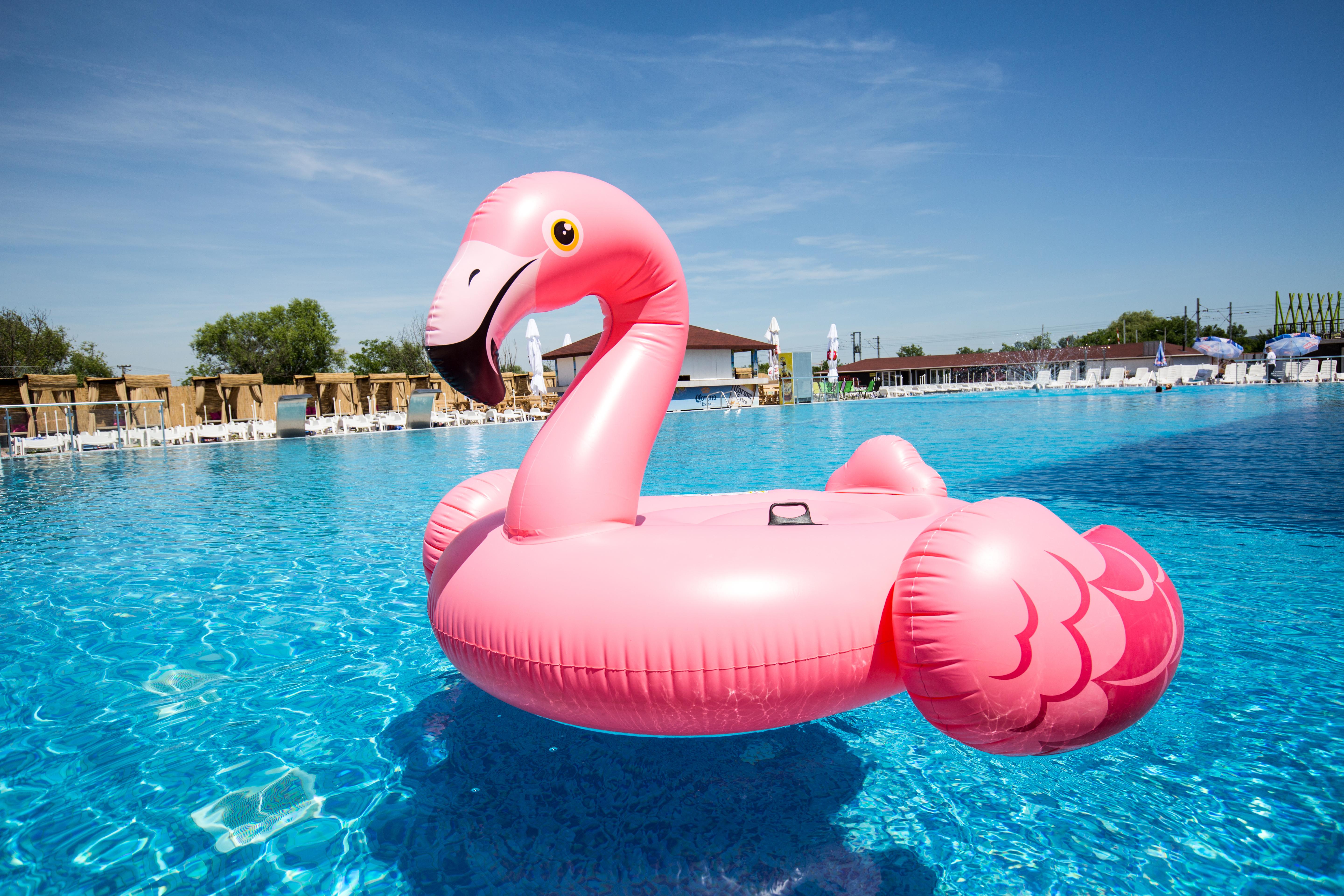 בלגרד Flamingo Resort מראה חיצוני תמונה